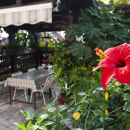 Apartments Portoroz * Portorož