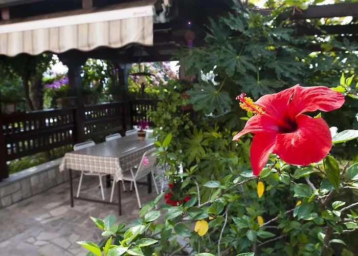 波尔托罗公寓 * 波尔托罗